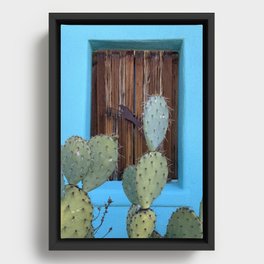 Aqua Wall + Cactus :: Barrio Viejo Tucson Framed Canvas
