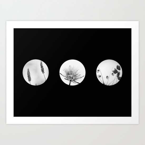 trio of flowers Art Print
