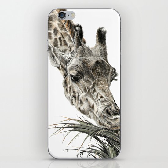 Giraffe - A Long Munch iPhone & iPod Skin