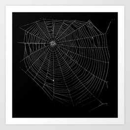 Spiders Web Art Print
