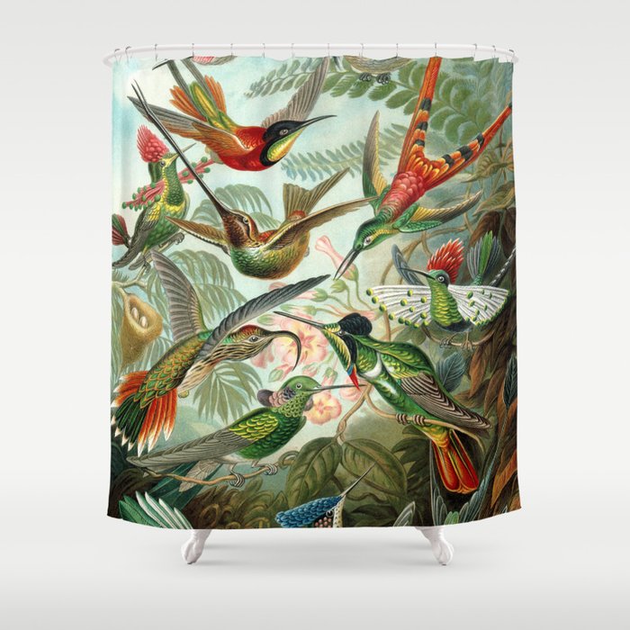 Vintage Hummingbirds Decorative Illustration Shower Curtain