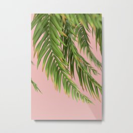 palm branch on a peach background Metal Print