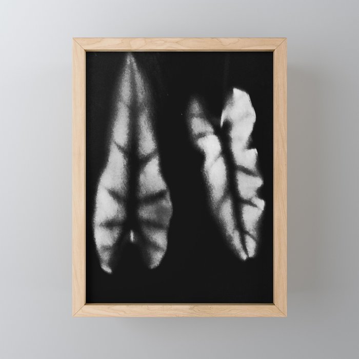Ghostly Pair of Leaves Photogram Framed Mini Art Print