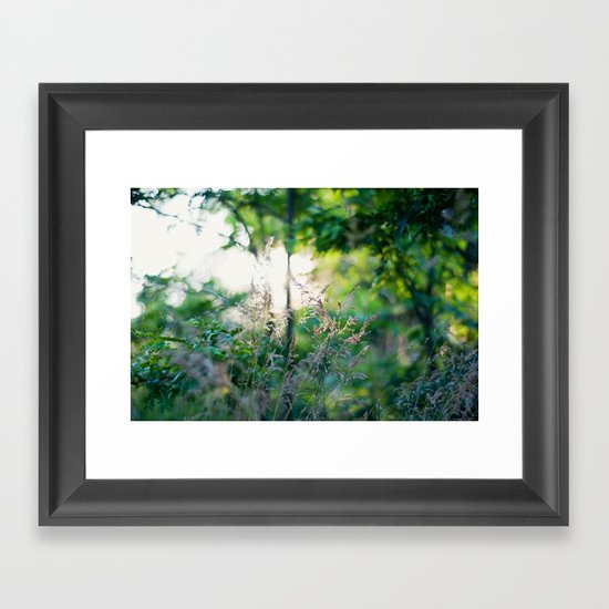 Summer Light Framed Art Print
