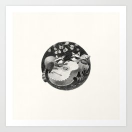 harmony - racoon Art Print