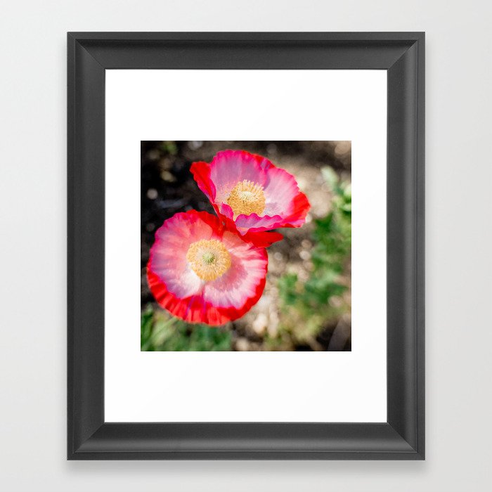 Poppies Framed Art Print