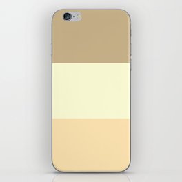 Colorful Stripes Pattern iPhone Skin