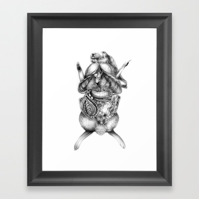 Rabbit Dissection Framed Art Print