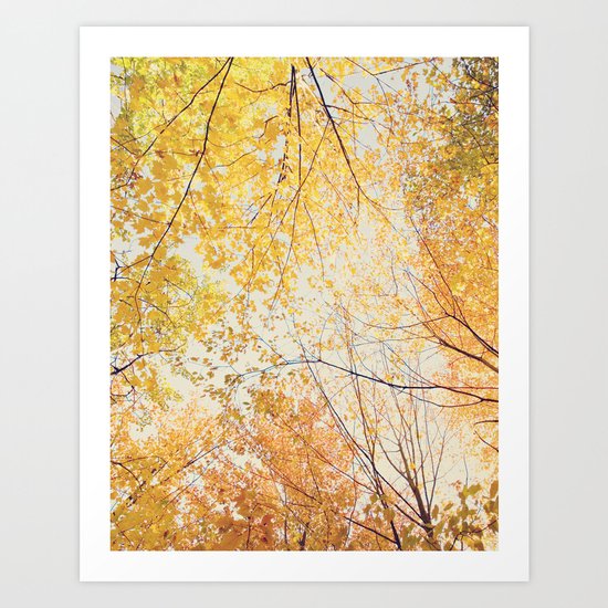 Autumn Trees Art Print