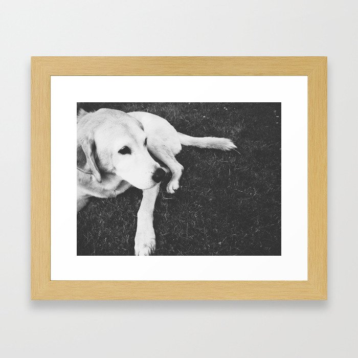 Dog Years Framed Art Print