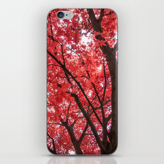 japanese maple tree iPhone Skin
