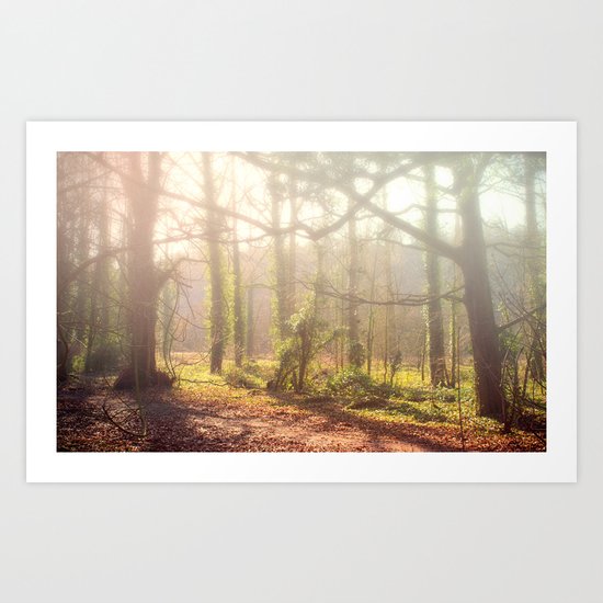 Woodland Fog Art Print