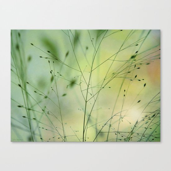Grass Canvas Print