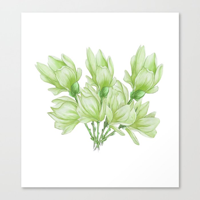 Bunch Of Light Green Flowers Canvas Print