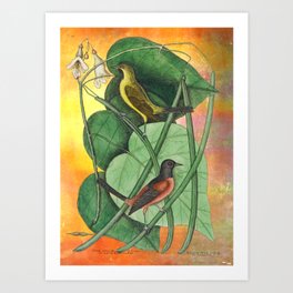 Orioles with Catalpa Tree, Natural History, Vintage Botanical Collage Art Print