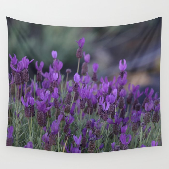 Lavender Plants Blooming  Wall Tapestry