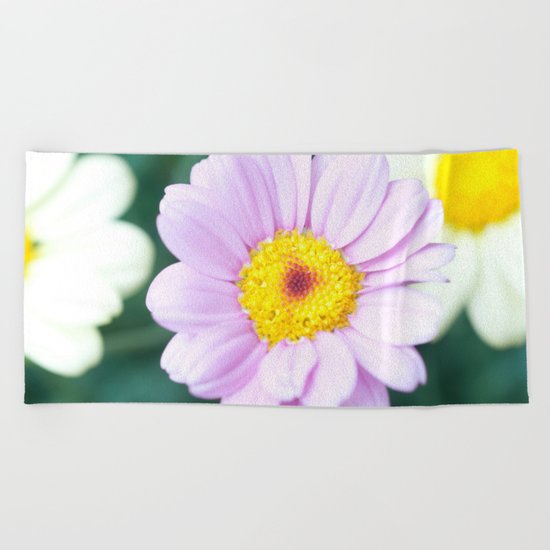 Soft Pink Marguerite Daisy Flower #1 #decor #art #society6 Beach Towel