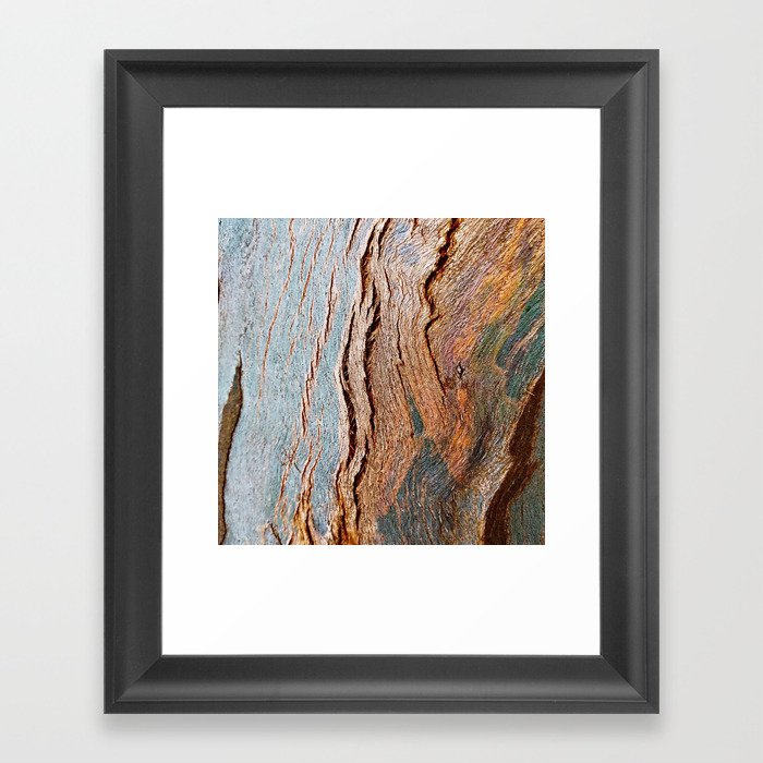 Eucalyptus Tree Bark and Wood Texture 18 Framed Art Print