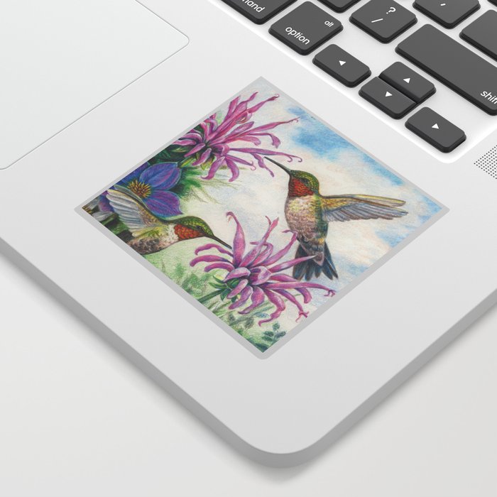 Hummingbird and Bergamot Sticker