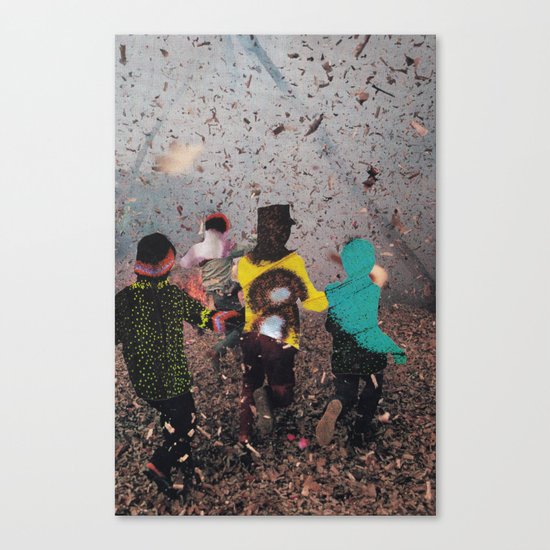 Butterfly Canvas Print