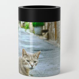 Cat on the street of a medieval french village | Saint-Cirq-Lapopie Can Cooler