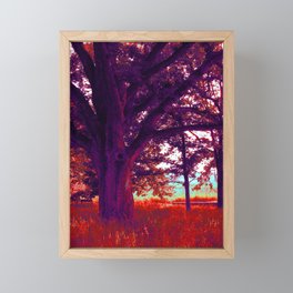 Su Mara Orchard Framed Mini Art Print