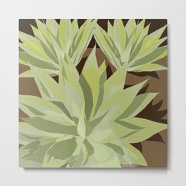 Agave Plants-in a garden, green, brown Metal Print