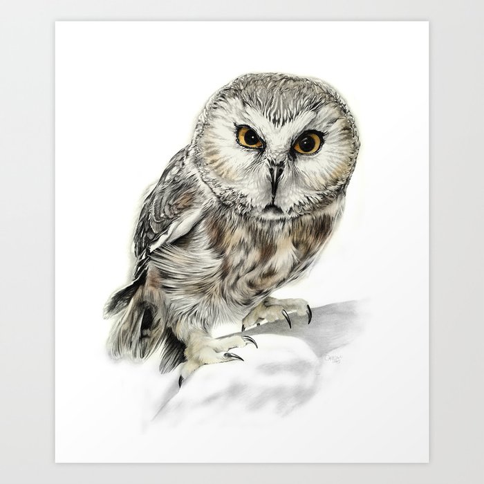 Rescue Owl Art Print