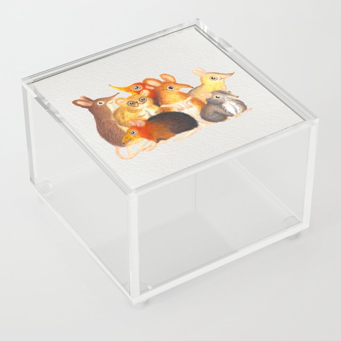Elephant shrew crew Acrylic Box