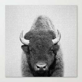 Buffalo - Black & White Canvas Print