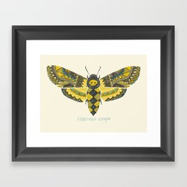 "Acherontia atropos" Moth Framed Art Print