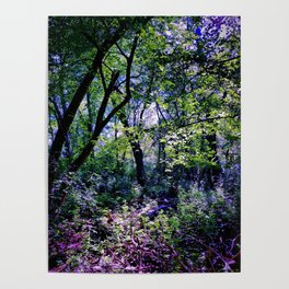 Pleasure of the Pathless Woods Poster