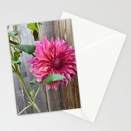Dahlia on the fence Stationery Cards