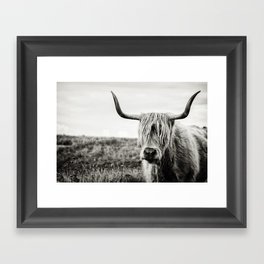 Highland Cow Framed Art Print