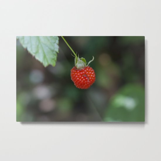 Wild Raspberry Metal Print
