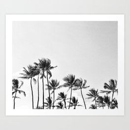Coconut Trees (Black & White) Art Print