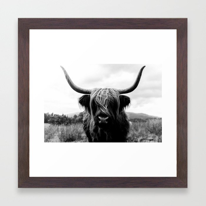 Scottish Highland Cattle Black And White Animal Framed Art Print By Scottish Highland Cattle Black And White Animal Framed Art Print By Regnumsaturni Society6