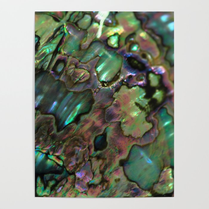 Oil Slick Abalone Mother Of Pearl Poster