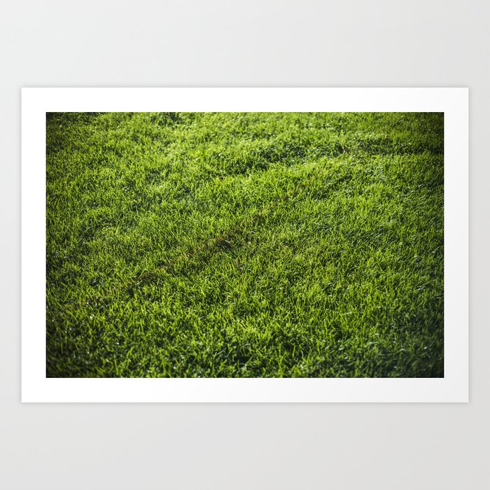 Grass Art Print