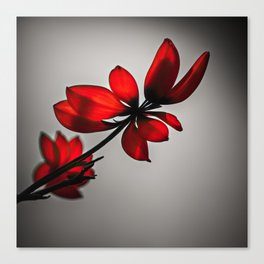 Minimalist Red Leaves Canvas Print