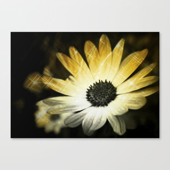 Sparkle Daisies Canvas Print