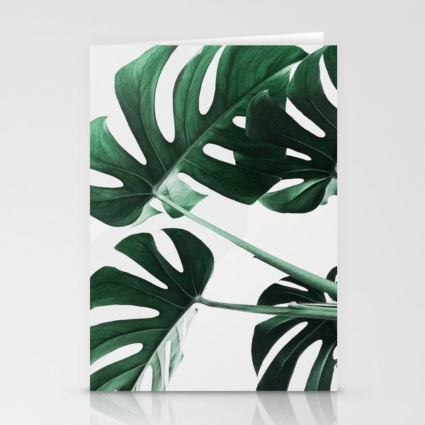 Monstera Leaves Plant Green Scandinavian Minimal Modern