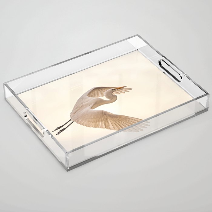 Backlit Egret Acrylic Tray