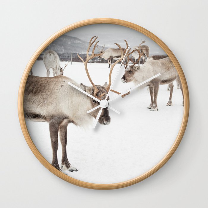Reindeers In Norway Photo | Snow Winter Landscape In Scandinavia | Animal Travel Photography Wall Clock