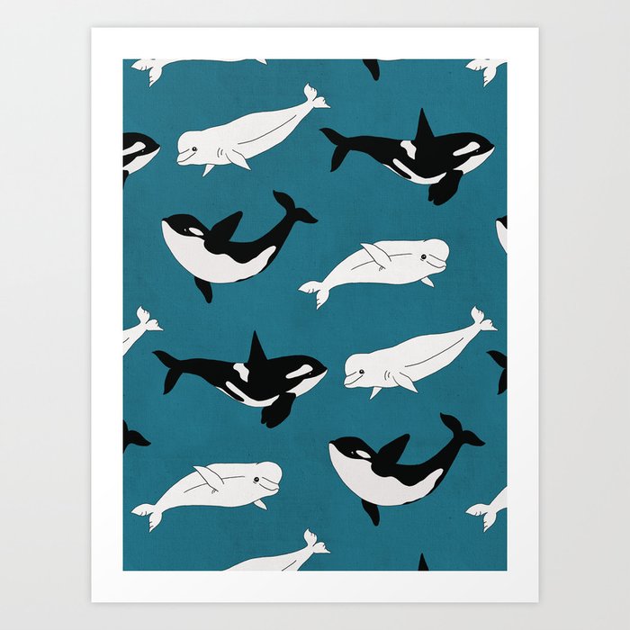 Belugas & Orcas on Teal Art Print