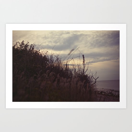 grasses2 Art Print