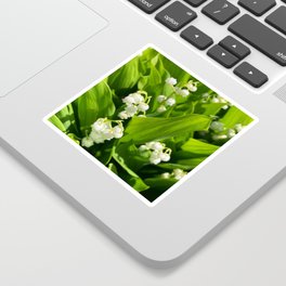 Pretty Poison: Lily of the Valley  Sticker