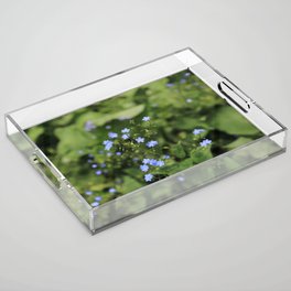 Forget-me-not Acrylic Tray
