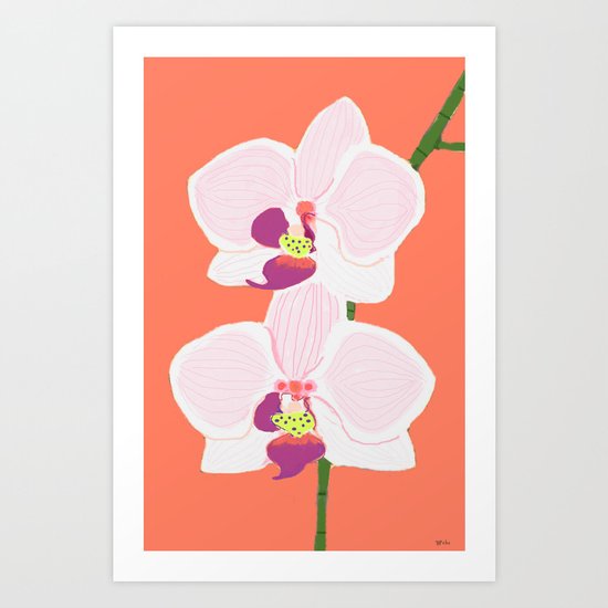 Orchids Art Print