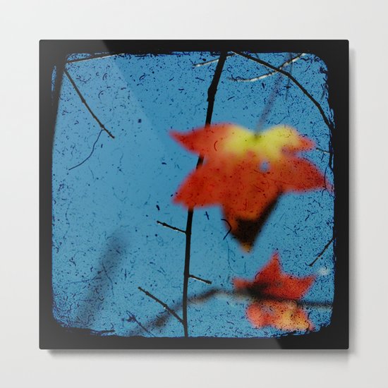 Float Metal Print